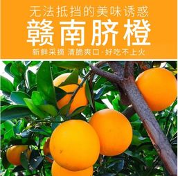 甜入心扉的赣南珍品——5斤江西赣州薄皮脐橙，品味正宗鲜甜的舌尖盛宴