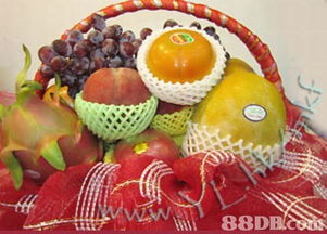 妙记生果 引领健康生活，尽享自然馈赠